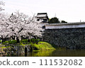 Fukuoka Castle Ruins Shiomi Yagura - Arrival of Spring 111532082