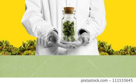 Doctor holding jar of cannabis. Legalization of medical marijuana for diseases treatment, pain killer. Therapy. Conceptual design. Doctor holding jar of cannabis. Legalization of medical marijuana for diseases treatment, pain killer. Therapy. Conceptual design. 111533645