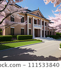 School and cherry blossoms 111533840