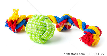 Dog pet toy isolated on white background 111534177