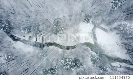 A river in the middle of a snow-covered forest on a winter cloudy day. Aerial view. A river in the middle of a snow-covered forest on a winter cloudy day. Aerial view. 111534570