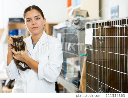 Young female worker at shelter standing with kitten in hands Young female worker at shelter standing with kitten in hands 111534863
