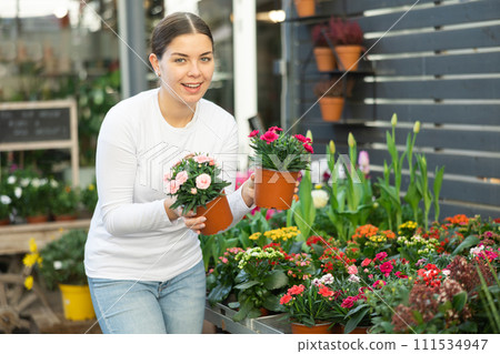 to decorate her garden, girl chooses garden carnation in flower shop 111534947