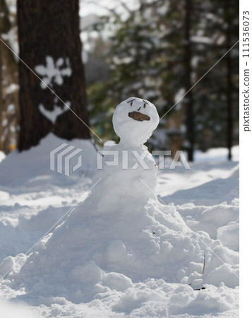 A snowman fairy appears in the forest 111536073