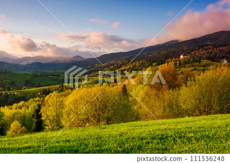 carpathian countryside scenery with forested hills in evening light. mountainous rural landscape of transcarpathia in spring 111536248