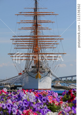 海王丸的春天 111536302