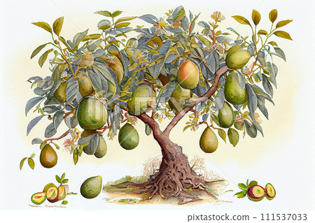An avocado tree with ripe avocado fruits hanging from its branches, generative ai illustration 111537033