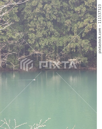 湖和鳥 111537323