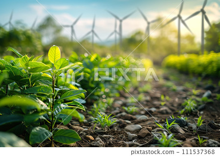 Renewable energy farmland. Generative AI. 111537368