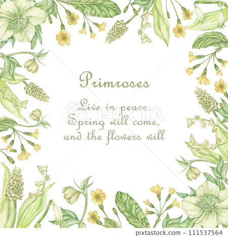 Watercolor green botanical flower frame with forest flowers. Square floral frame. A greeting card template in a frame for an invitation, wedding, birthday, with a place for text. Watercolor green botanical flower frame with forest flowers. Square floral frame. A greeting card template in a frame for an invitation, wedding, birthday, with a place for text. 111537564