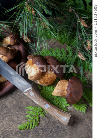 Imleria Badia or Boletus badius mushrooms commonly known as the bay bolete, clay plate with mushrooms and knife on vintage wooden background.. Imleria Badia or Boletus badius mushrooms commonly known as the bay bolete, clay plate with mushrooms and knife on vintage wooden background.. 111537609