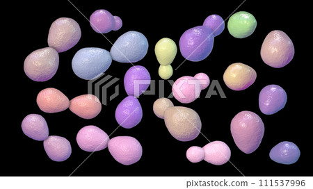 Histoplasma capsulatum yeasts, 3D illustration Histoplasma capsulatum yeasts, 3D illustration 111537996