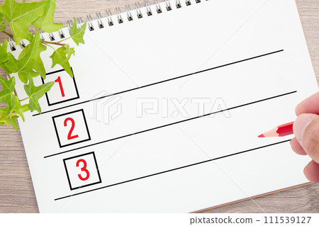 list and red pencil list and red pencil 111539127