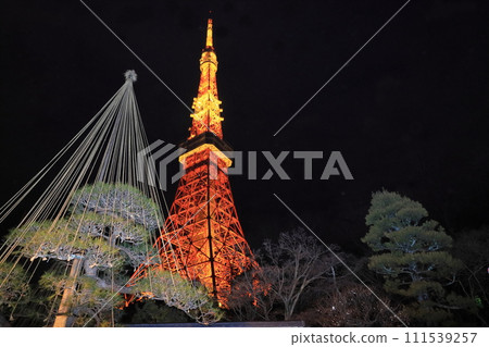東京鐵塔 東京鐵塔 燈光照明 東京鐵塔 東京鐵塔 燈光照明 111539257