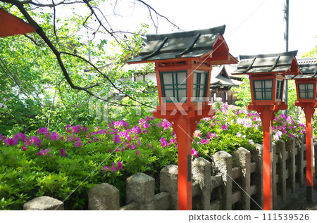 春天參拜六園神社 春天參拜六園神社 111539526