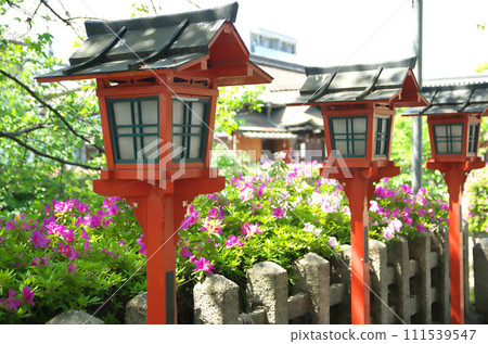 春天參拜六園神社 111539547
