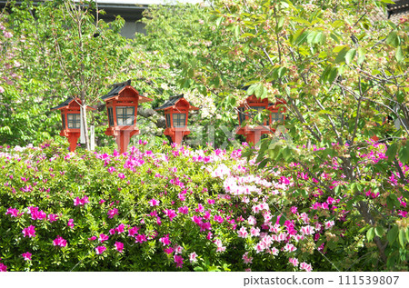 春天參拜六園神社 111539807