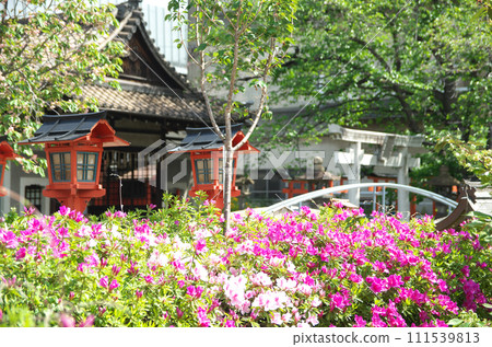春天參拜六園神社 111539813