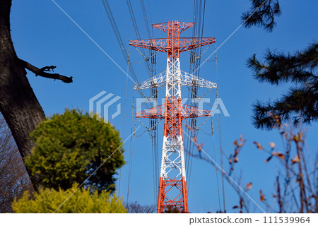 Blue sky and red and white power transmission towers visible through the trees Blue sky and red and white power transmission towers visible through the trees 111539964
