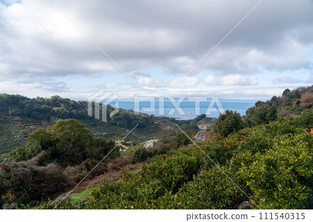 Terraced fields of Kumamoto Prefecture's Amami Mikan Mountain and the Ariake Sea 111540315