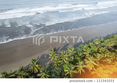 Tropical beach shore beach 111541033