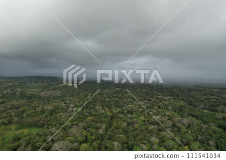 Rainy weather over green tropical landscape Rainy weather over green tropical landscape 111541034