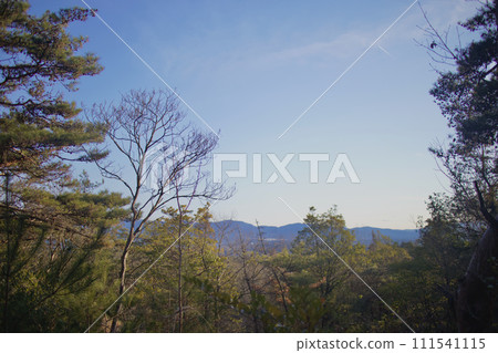 The view beyond the forest was also fun. The view beyond the forest was also fun. 111541115