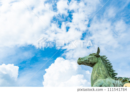 Suima Temple Tenma in midsummer 111541784