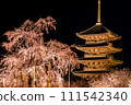 京都東寺夜晚的櫻花（垂枝櫻花） 111542340
