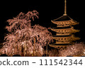 京都東寺夜櫻（垂枝櫻花）點燈 7 111542344