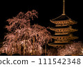京都東寺夜間點燈的櫻花（垂枝櫻花）3 111542348