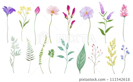 Vector illustration set of pretty flowers and leaves plants 111542618