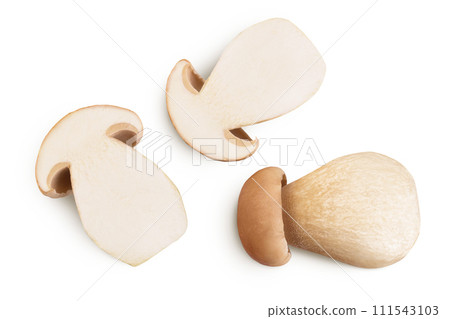 Fresh porcini cep mushroom isolated on white background. Top view. Flat lay. Fresh porcini cep mushroom isolated on white background. Top view. Flat lay. 111543103