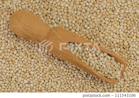background of sorghum seeds with wooden scoop. Top view. Flat lay. background of sorghum seeds with wooden scoop. Top view. Flat lay. 111543106