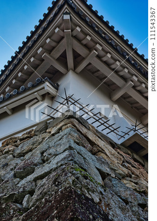 Shogun of Kochi Castle 111543367