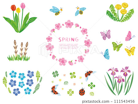 Spring plant flowers and insects illustration set 111543456