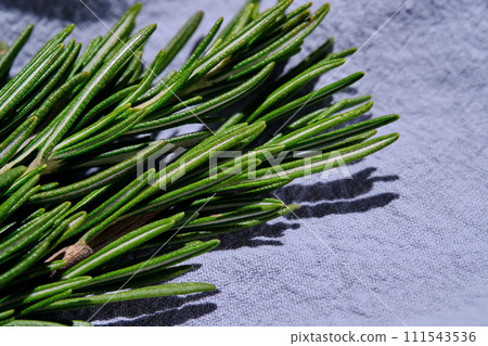 Fresh rosemary on a background of blue fabric. Fresh rosemary on a background of blue fabric. 111543536