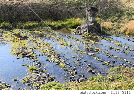 溝裡彈簧球 111545111