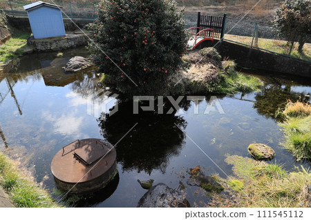 Katsuhosawa's spring balls 111545112