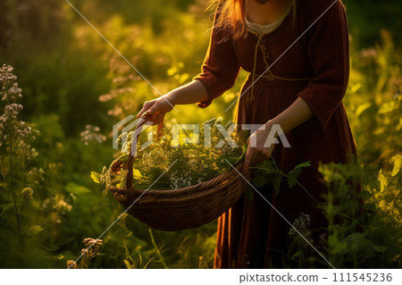 Woman Harvesting Herbs in Sunlit Field Woman Harvesting Herbs in Sunlit Field 111545236