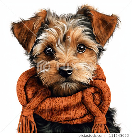 Portrait of a Yorkshire Terrier in a scarf. illustration. Portrait of a Yorkshire Terrier in a scarf. illustration. 111545633