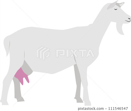 Goat farm animal vector icon isolated on white Goat farm animal vector icon isolated on white 111546547