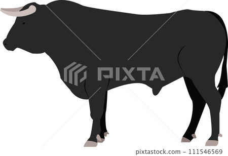 Big bull wild animal vector icon isolated on white Big bull wild animal vector icon isolated on white 111546569