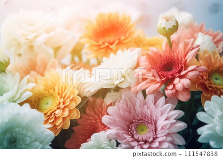 Daisy flower gerbera bouquet isolated Daisy flower gerbera bouquet isolated 111547838