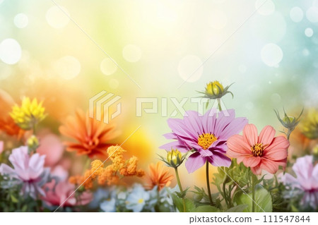 Colorful gerbera flowers. Place for text. Selective focus. 111547844