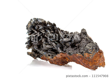 Macro stone Apatite mineral on white background 111547908