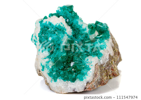 Macro mineral stone Dioptase silicate copper on a white background Macro mineral stone Dioptase silicate copper on a white background 111547974