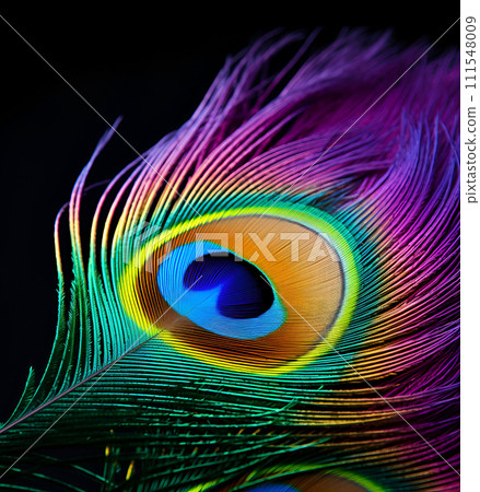 Peacock feather. Generated AI 111548009