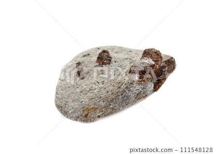 macro mineral stone Staurolite on a white background 111548128