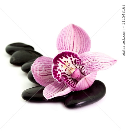 Orchid on a stone 111548162